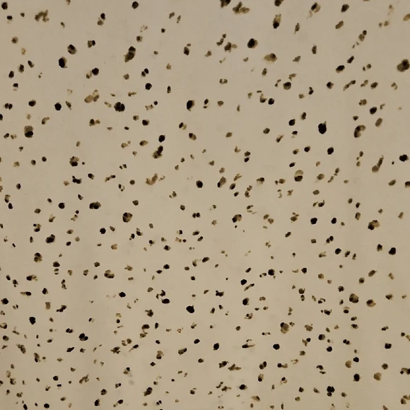 Apt. 9 White and Black Speckled Blouse - Picture 4 of 10